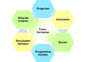 P Programmamanagement P Programmamanagement