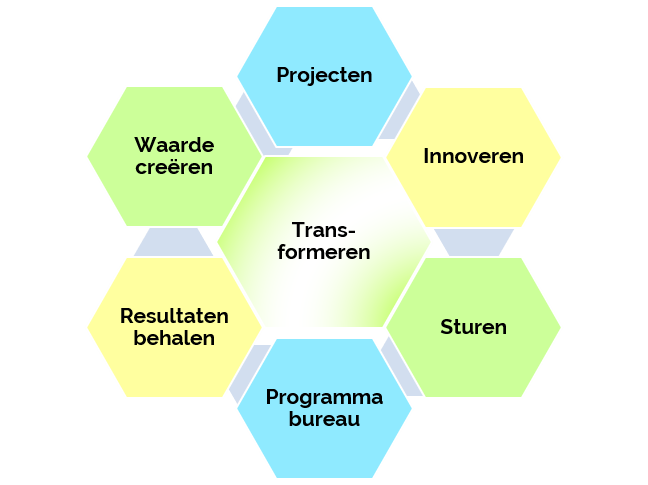 P Programmamanagement P Programmamanagement
